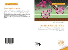 Team Katusha Wins的封面