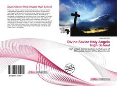 Capa do livro de Divine Savior Holy Angels High School 