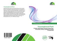 Buchcover von Ynysangharad Park