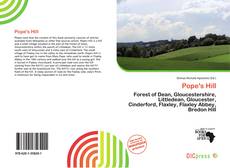 Portada del libro de Pope's Hill