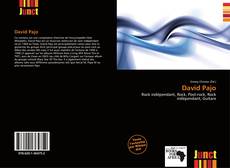 Bookcover of David Pajo