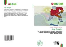 Capa do livro de Jay Beagle 