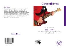 Bookcover of Joe Maini