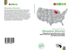 Capa do livro de Wauwatosa, Wisconsin 