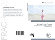 Economic Stratification kitap kapağı