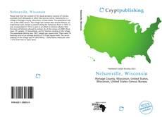 Bookcover of Nelsonville, Wisconsin