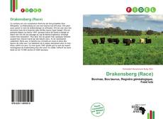 Capa do livro de Drakensberg (Race) 