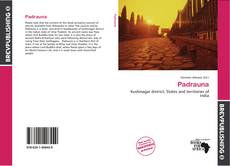 Buchcover von Padrauna