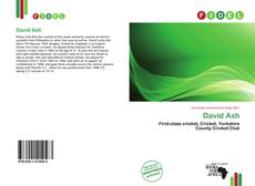 Buchcover von David Ash