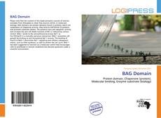 BAG Domain kitap kapağı