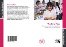 Capa do livro de Working Poor 