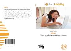 Portada del libro de BAG1