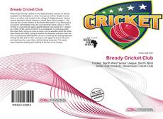 Capa do livro de Bready Cricket Club 