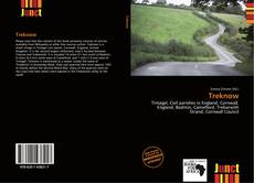 Bookcover of Treknow