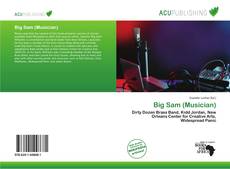 Big Sam (Musician) kitap kapağı