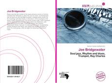 Buchcover von Joe Bridgewater