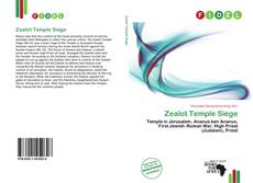 Buchcover von Zealot Temple Siege