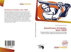 Bookcover of David Evans (Cricketer, born 1869)