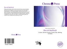 Bookcover of David Bulfield