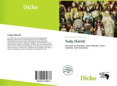 Copertina di Tudy (Saint)