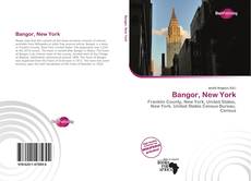 Bookcover of Bangor, New York