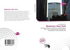 Portada del libro de Beekman, New York