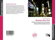 Birdsall, New York kitap kapağı