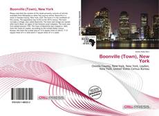 Capa do livro de Boonville (Town), New York 