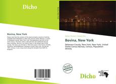 Capa do livro de Bovina, New York 