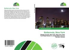 Capa do livro de Butternuts, New York 