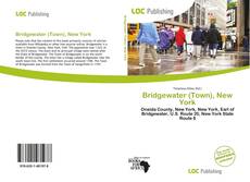 Bookcover of Bridgewater (Town), New York