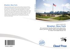 Bookcover of Brasher, New York