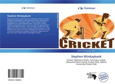 Portada del libro de Stephen Windaybank