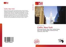 Buchcover von Catlin, New York