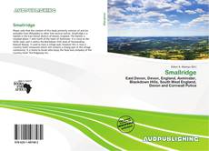 Portada del libro de Smallridge