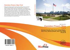 Bookcover of Canisteo (Town), New York