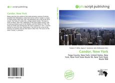 Portada del libro de Candor, New York