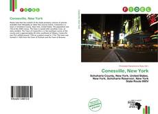 Capa do livro de Conesville, New York 