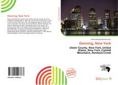 Denning, New York的封面