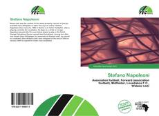 Stefano Napoleoni kitap kapağı