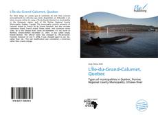 Bookcover of L'Île-du-Grand-Calumet, Quebec