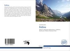 Buchcover von Pollino