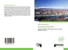 Ponzano Veneto的封面