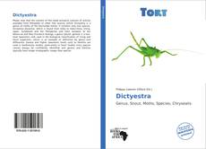 Bookcover of Dictyestra