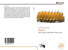 Bookcover of Digulia