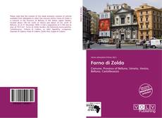 Capa do livro de Forno di Zoldo 