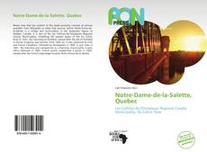 Bookcover of Notre-Dame-de-la-Salette, Quebec