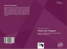 Bookcover of Montecchio Maggiore