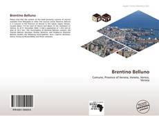 Buchcover von Brentino Belluno