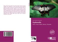Ecphorella kitap kapağı